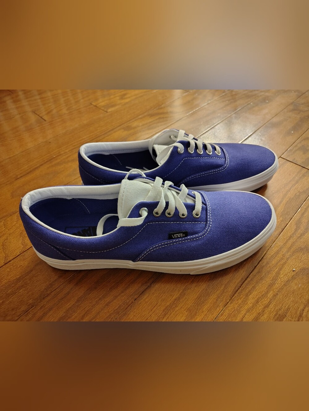 Vans Men’s Canvas Lace-Up Sneakers in Blue and White